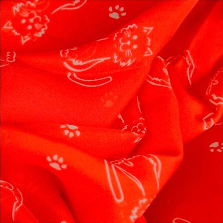 Scarf scarves luxury silk wrap women lady handmade France cat red Texadia Fashion